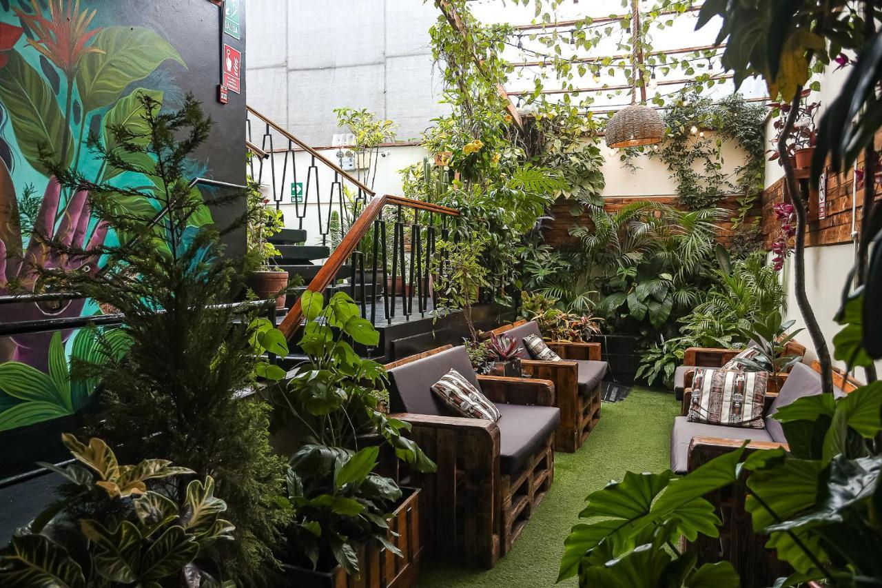 Black Llama Hostel Miraflores ลิมา ภายนอก รูปภาพ